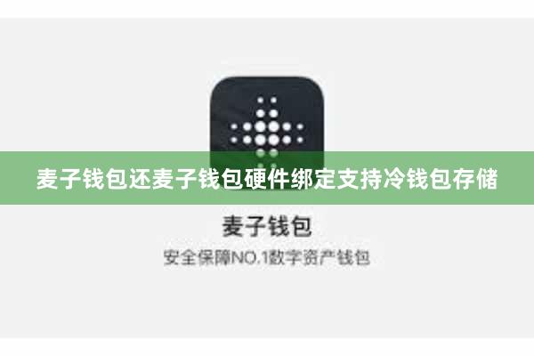 麦子钱包还麦子钱包硬件绑定支持冷钱包存储