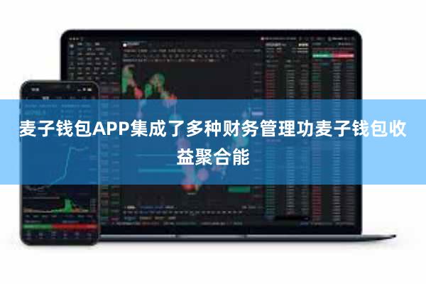 麦子钱包APP集成了多种财务管理功麦子钱包收益聚合能