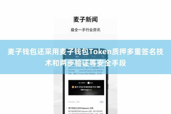 麦子钱包还采用麦子钱包Token质押多重签名技术和两步验证等安全手段
