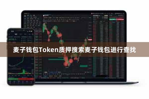 麦子钱包Token质押搜索麦子钱包进行查找