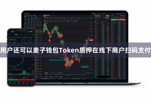 用户还可以麦子钱包Token质押在线下商户扫码支付