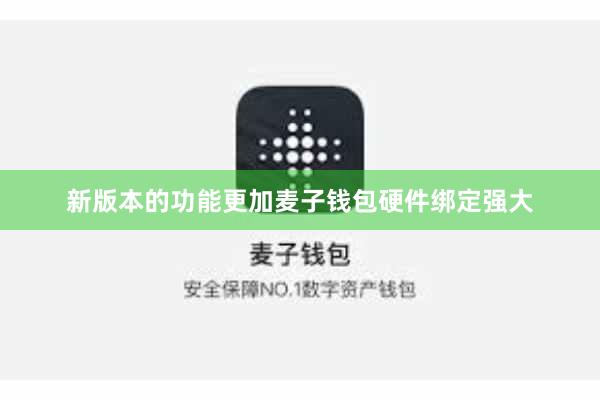 新版本的功能更加麦子钱包硬件绑定强大