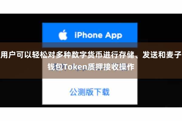 用户可以轻松对多种数字货币进行存储、发送和麦子钱包Token质押接收操作