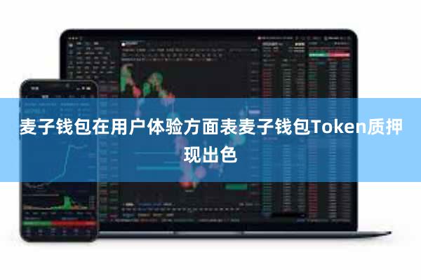 麦子钱包在用户体验方面表麦子钱包Token质押现出色