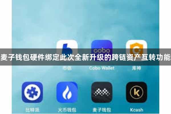 麦子钱包硬件绑定此次全新升级的跨链资产互转功能