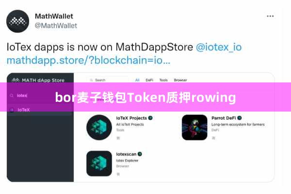bor麦子钱包Token质押rowing