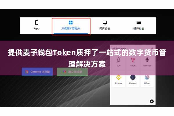 提供麦子钱包Token质押了一站式的数字货币管理解决方案