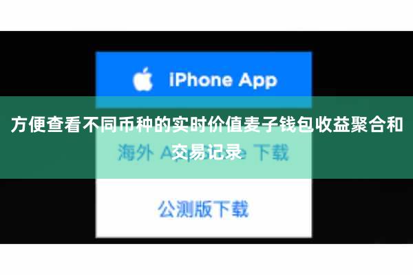 方便查看不同币种的实时价值麦子钱包收益聚合和交易记录