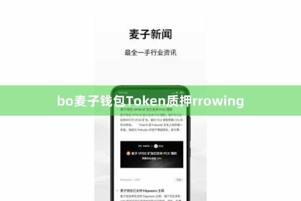 bo麦子钱包Token质押rrowing