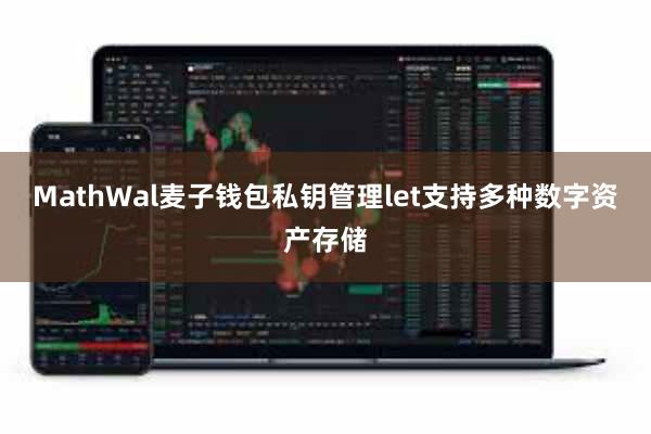 MathWal麦子钱包私钥管理let支持多种数字资产存储