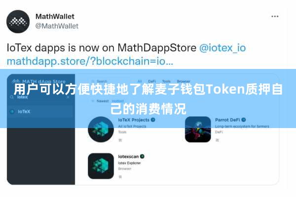 用户可以方便快捷地了解麦子钱包Token质押自己的消费情况