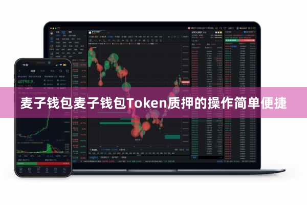 麦子钱包麦子钱包Token质押的操作简单便捷