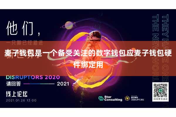 麦子钱包是一个备受关注的数字钱包应麦子钱包硬件绑定用