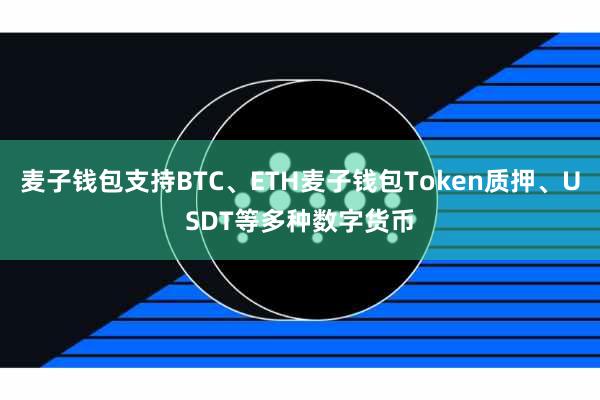 麦子钱包支持BTC、ETH麦子钱包Token质押、USDT等多种数字货币