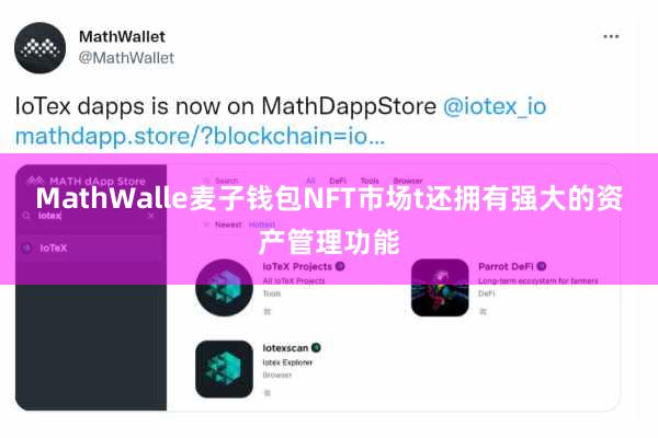 MathWalle麦子钱包NFT市场t还拥有强大的资产管理功能
