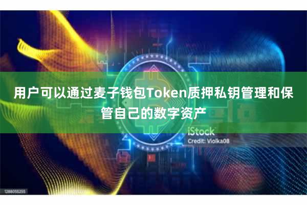 用户可以通过麦子钱包Token质押私钥管理和保管自己的数字资产